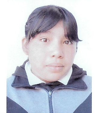 Image Caption