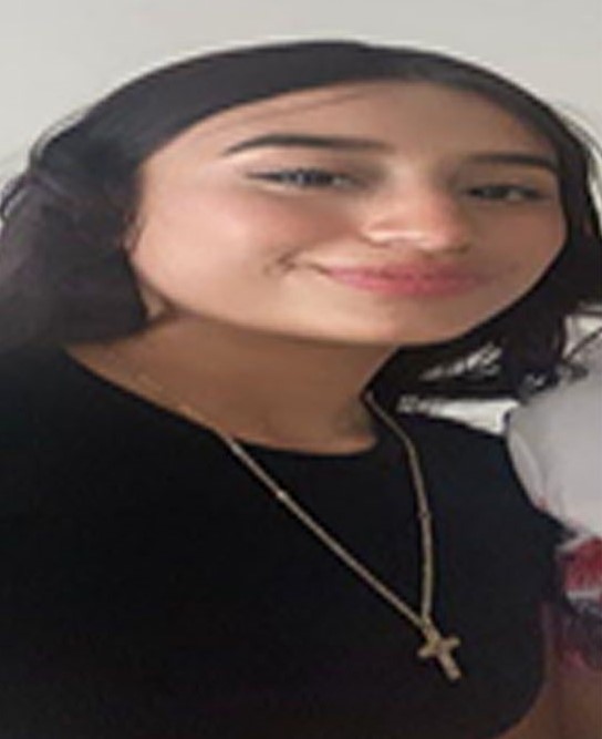 Image Caption